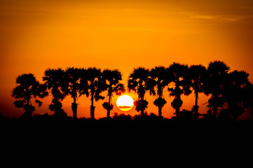 Silhouette sunset.