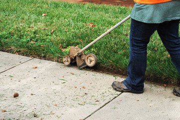 trim the lawn