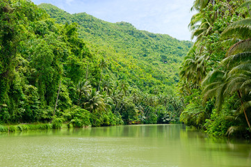 The Loboc River in the Bohol Island of the Philippines - one of the major tourist destinations of Bohol Island.