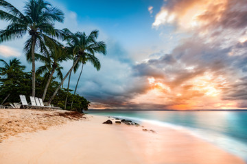 Exotic long exposure seascape with palm trees at sunset, on a public beach in Cayo Levantado, Dominican Republic - obrazy, fototapety, plakaty
