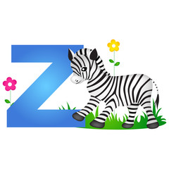 Animal alphabet letter Z