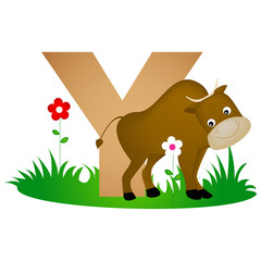 Animal alphabet letter Y