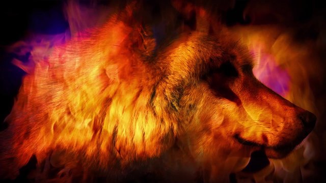 Wolf In Mystic Vision Smoke