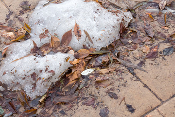 Chunk of snow surrounded by dirty dead leaves on a sidewalk, close up