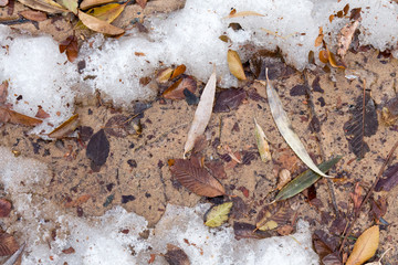 Close up of melting snow on a dirty sidewalk