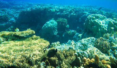 underwater