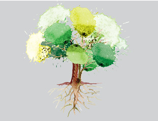 Oak tree with roots ,watercolor vector brush design 