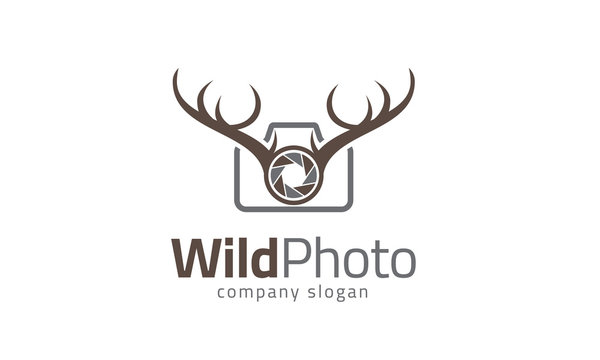 Wild Photography - Deer Crown