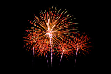 Colorful fireworks light on the sky