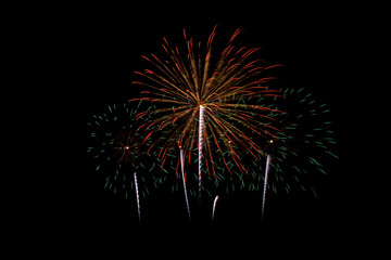 Colorful fireworks light on the sky