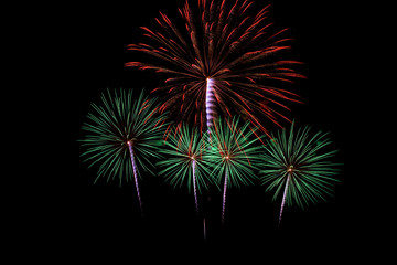 Colorful fireworks light on the sky