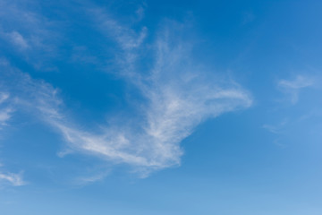 Nice white cloud on blue sky