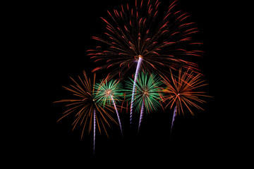 Colorful fireworks light on the sky