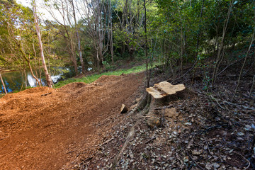 Shanghai Urban Construction, Pudong