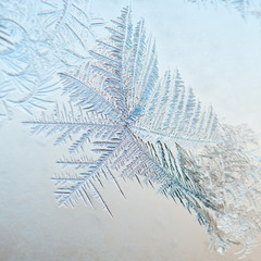 Ice floral pattern on glass in blurred vignette. Macro view. Holiday seasonal background

