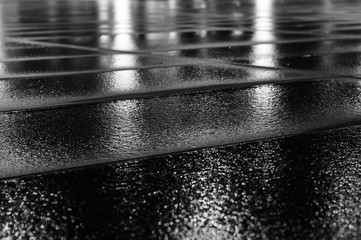 Wet paving slab after rain