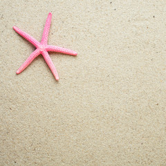 Sea shells on sand.red Starfish