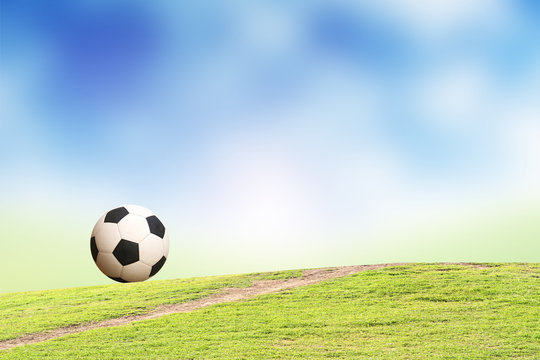 Soccer ball on the grass
