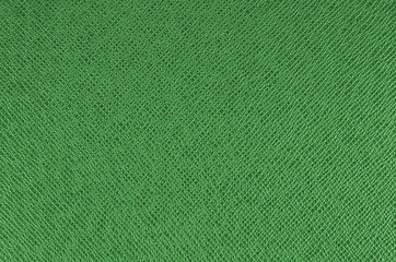 Animal skin texture or background.