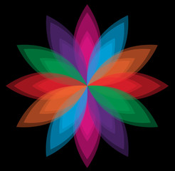 colorful flower vector on black background