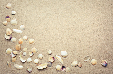 Fototapeta na wymiar Sea shells on sand. 