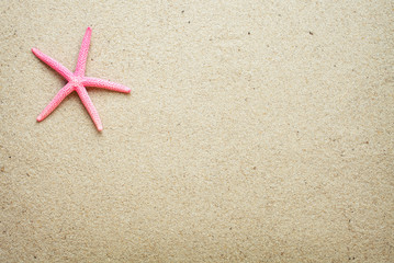 Fototapeta na wymiar Sea shells on sand.red Starfish