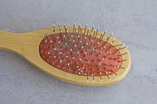 Close-up of an used hairbrush, isolated on gray background
