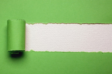 green Torn paper with white background