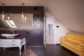 Contemporary luxurious bathroom lounge