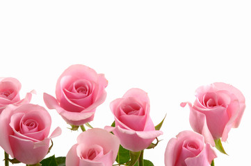 Set of roses bouquet
