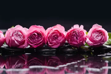 Foto op Plexiglas Still life with row of rose and wet stones © Mee Ting
