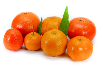 Different varieties of clementines isolated on white