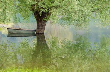 Alberi nel lago e riflessi