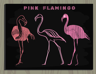 pink flamingo on chalk board