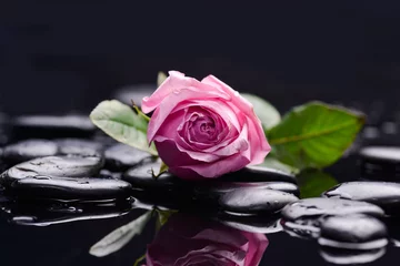  Still life with pink rose and wet stones © Mee Ting