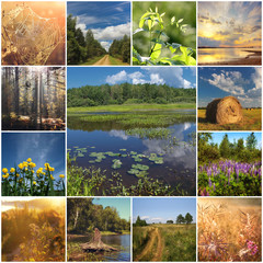 Collage with types of the summer nature.