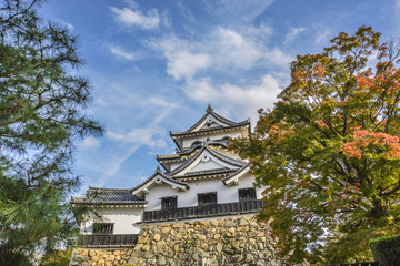 彦根城秋景色