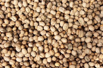 Walnuts in shells background