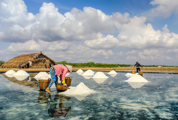 Woman harvesting salt on farm in Hochiminh city suburb, Vietnam.