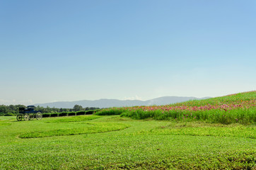 beautiful outdoor garden design on sunny day