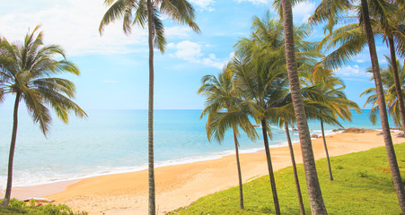 Beautiful tropical beach hidden between  coconut palm trees