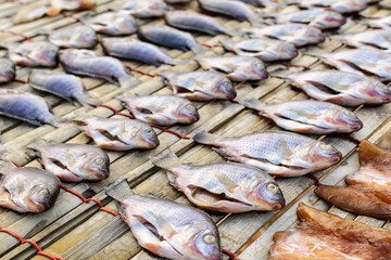 drying stock fish in Thailand, Dried fish