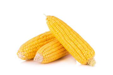 Corn on white background