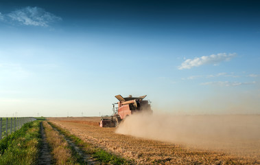 Fototapeta premium harvester 7