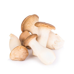 King Oyster mushroom on white backgroud.