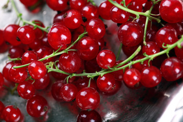 Fresh red currants in bowl close up