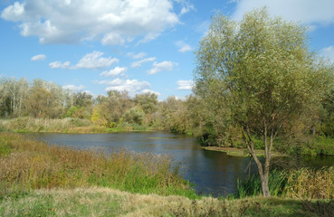 River landscape and  autumn wood