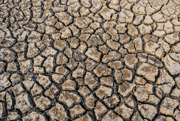 Cracks on the ground