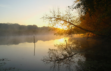 Fototapeta premium Morning landscape with fog on the river