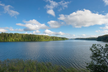 Fototapeta na wymiar Forest Lake from the height of summer day